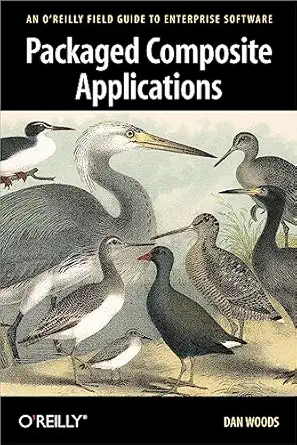 packaged composite applications an oreilly field guide to enterprise software 1st edition dan woods