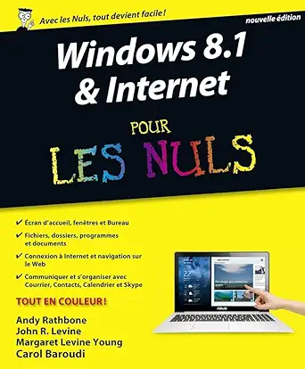 windows 8 1 and internet nouvelle adition pour les nuls 1st edition andy rathbone ,john r levine ,margaret