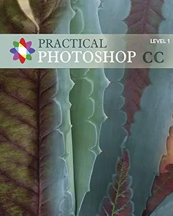 practical photoshop cc level 1 practical photoshop cc level 1 1st edition barbara heiman ,donald laird