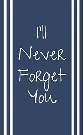 ill never forget you organizer for all your passwords and login informations 1st edition 13th floor