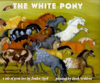 the white pony a tale of great love 1st edition sandra byrd ,sarah waldron 1578561922, 978-1578561926