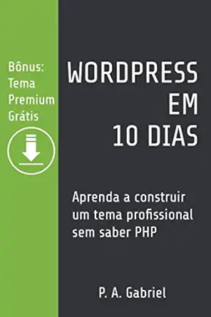 wordpress em 10 dias aprenda a construir um tema profissional sem saber php 1st edition p a gabriel