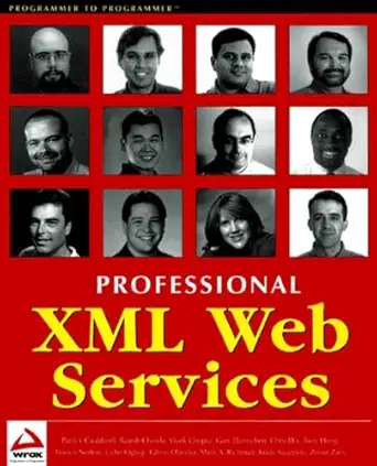 professional xml web services 1st edition vivek chopra ,zaev zoran ,gary damschen ,chris dix ,patrick