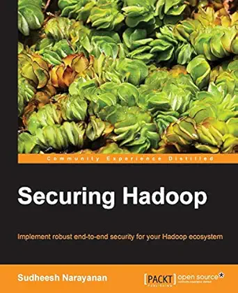 securing hadoop 1st edition sudheesh narayanan 1783285257, 978-1783285259
