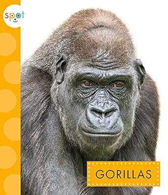 gorillas 1st edition mary ellen klukow 1681524260, 978-1681524269