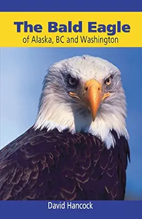 bald eagle of alaska bc and washington 1st edition david hancock 0888395361, 978-0888395368