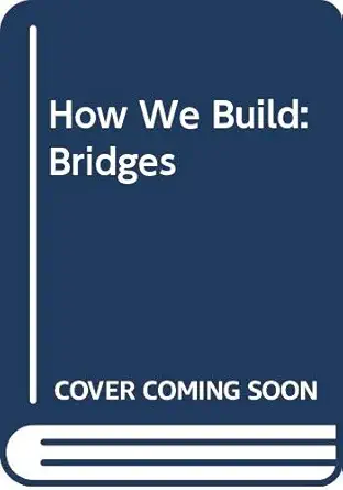 how we build bridges 1st edition neil ardley 033344163x, 978-0333441633