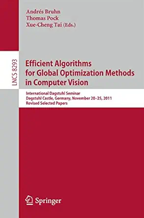 efficient algorithms for global optimization methods in computer vision international dagstuhl seminar