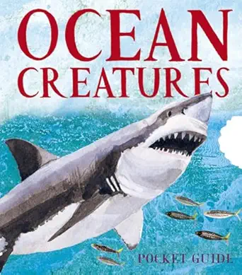 ocean creatures a 3d pocket guide 1st edition candlewick press ,sarah young 0763668028, 978-0763668020