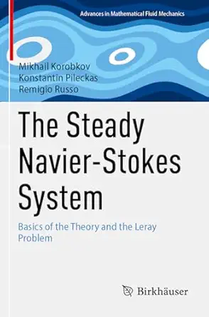 the steady navier stokes system basics of the theory and the leray problem 1st edition mikhail korobkov