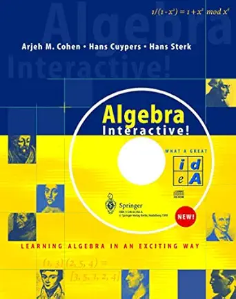 algebra interactive learning algebra in an exciting way 1st edition arjeh m cohen ,hans cuypers ,hans sterk