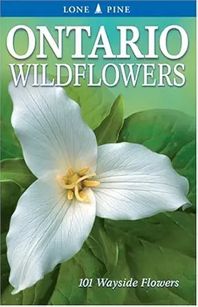 ontario wildflowers 1st edition linda kershaw ,dawn loewen 1551052857, 978-1551052854