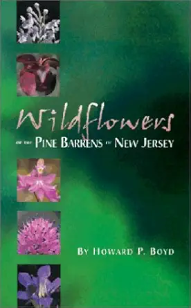 wildflowers of the pine barrens of new jersey 1st edition howard p boyd 0937548456, 978-0937548455