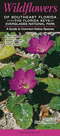 wildflowers of southeast florida including the florida keys and everglades national park a guide to common