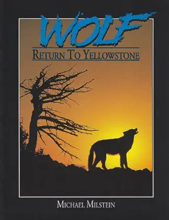 wolf return to yellowstone 1st edition michael milstein 0962761885, 978-0962761881