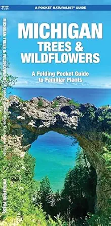 michigan trees and wildflowers 1st edition james kavanagh waterford press ,waterford press ,raymond leung