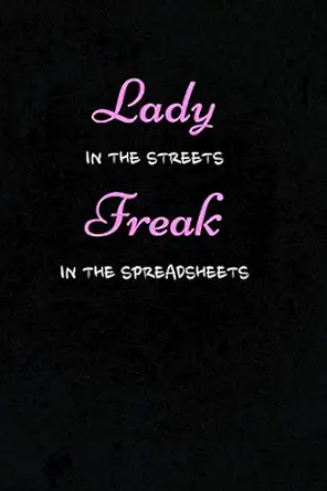 lady in the streets freak in the spreadsheets funny womens notebook journal gift for accountants cpas