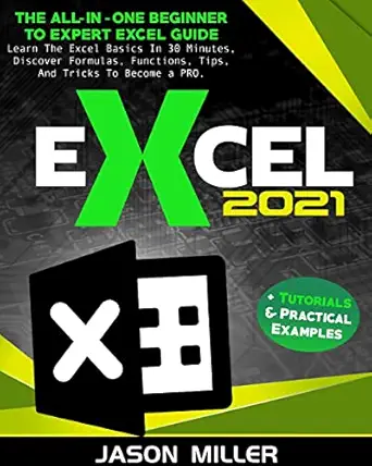 excel 2021 the all in one beginner to expert excel guide learn the excel basics in 30 minutes discover