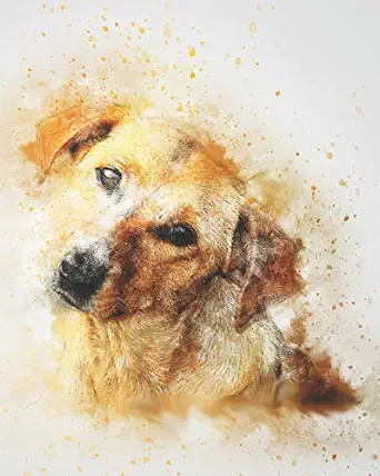 2019 2020 academic planner weekly and monthly adorable dog 1st edition zone365 creative journals 1092550380,