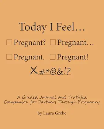 today i feel pregnant a guided journal and truthful companion for partners through pregnancy 1st edition
