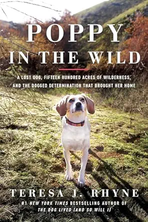poppy in the wild a lost dog fifteen hundred acres of wilderness and the dogged determination that brought