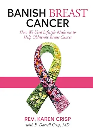 banish breast cancer how we used lifestyle medicine to help obliterate breast cancer 1st edition rev karen