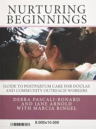 nurturing beginnings guide to postpartum care for doulas and community outreach workers 1st edition debra