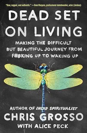 dead set on living making the difficult but beautiful journey from f# king up to waking up 1st edition chris