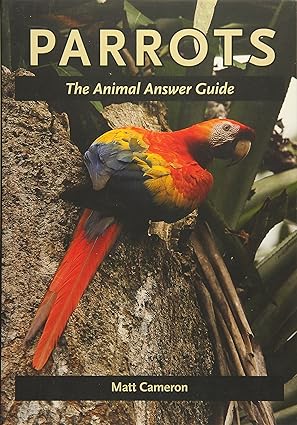 parrots the animal answer guide 1st edition matt cameron 142140544x, 978-1421405445