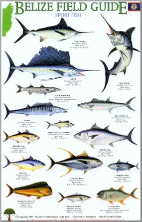 sport fish 1st edition rainforest pubs 1888538945, 978-1888538946