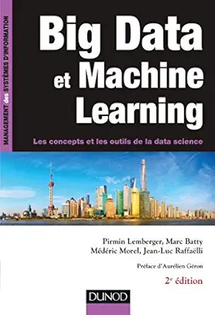 big data et machine learning 2e ad les concepts et les outils de la data science les concepts et les outils