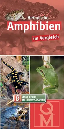 heimische amphibien im vergleich 1st edition unknown 3494016798, 978-3494016795