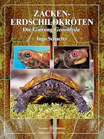 zacken erdschildkra ten 1st edition ingo scha fer 3937285504, 978-3937285504
