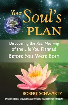 your souls plan discovering the real meaning of the life you planned before you were born 1st edition robert