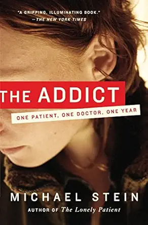 the addict one patient one doctor one year 1st edition michael stein 0061368148, 978-0061368141