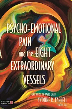 psycho emotional pain and the eight extraordinary vessels treating the spirit 1st edition yvonne r farrell