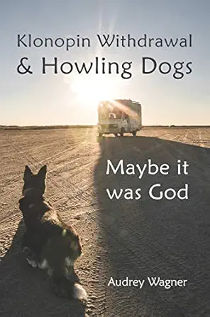klonopin withdrawal and howling dogs maybe it was god 1st edition audrey anne wagner 0692291008,