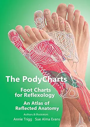 the podycharts foot charts for reflexology an atlas of reflected anatomy 1st edition annie trigg ,sue alma