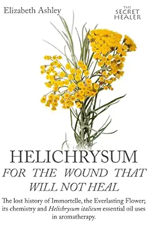 helichrysum for the wound that will not heal the lost history of immortelle the everlasting flower its