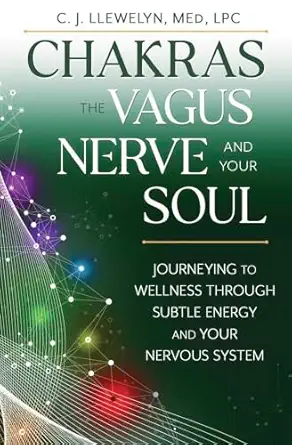 chakras the vagus nerve and your soul journeying to wellness through subtle energy and your nervous system