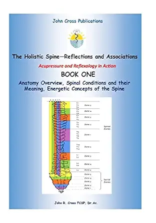 the holistic spine associations and reflections acupressure and reflexology in action 1st edition dr john r