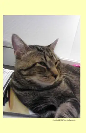 cool cat 2014 weekly calendar a week by week calendar with a cover photo of a cool tabby cat from ralphies