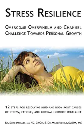 stress resilience overcome overwhelm and channel challenge towards personal growth 12 steps for resolving