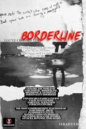 youve crossed the borderline the correlation between false allegations parental alienation and cluster b 1st