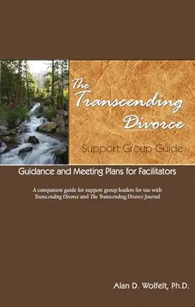 the transcending divorce support group guide guidance and meeting plans for facilitators 1st edition alan