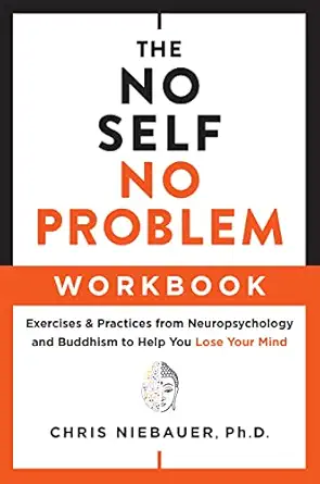 the no self no problem workbook exercises and practices from neuropsychology and buddhism to help you lose
