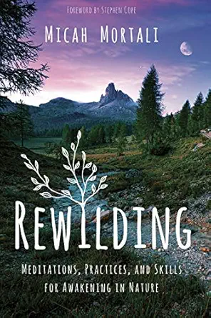 rewilding meditations practices and skills for awakening in nature 1st edition micah mortali ,stephen cope