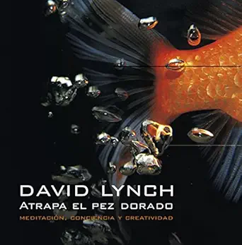 atrapa el pez dorado meditacia n conciencia y creatividad 1st edition david lynch ,cruz rodra guez juiz