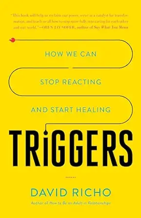 triggers how we can stop reacting and start healing 1st edition david richo 1611807654, 978-1611807653