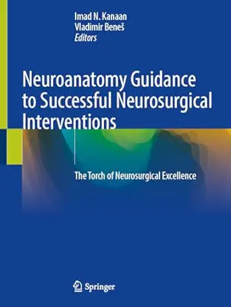 neuroanatomy guidance to successful neurosurgical interventions the torch of neurosurgical excellence 1st